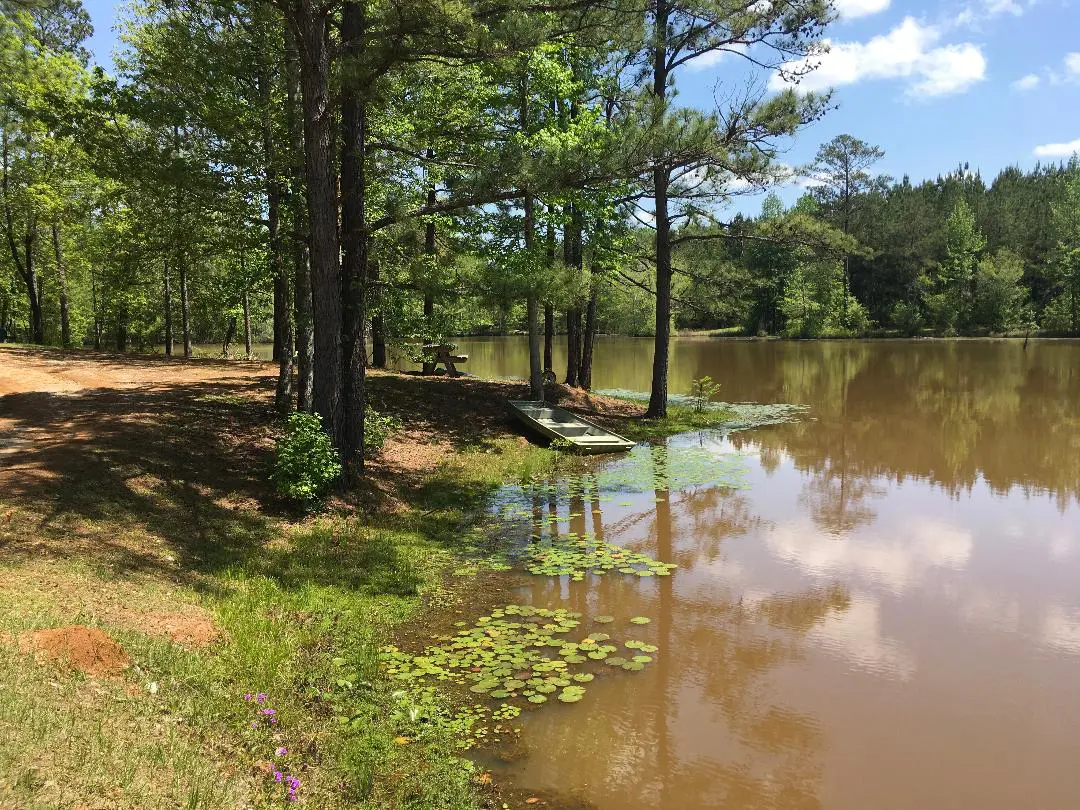 A small pond surrounded by trees, with a grassy shoreline, lily pads on the water's edge, and a small boat pulled up on the shore. A dirt path and a picnic table are visible nearby.